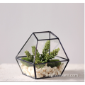 Kształt Super duże szklane terrarium geometryczne